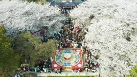 它被称为“血管保护神”，每天吃一点，血管干净，远离血管疾病
