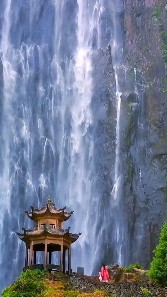 蓝色怪物救援